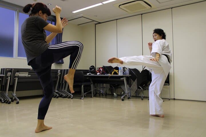 Tokyo: Karate Experience with Former All-Japan Champion — photo 19