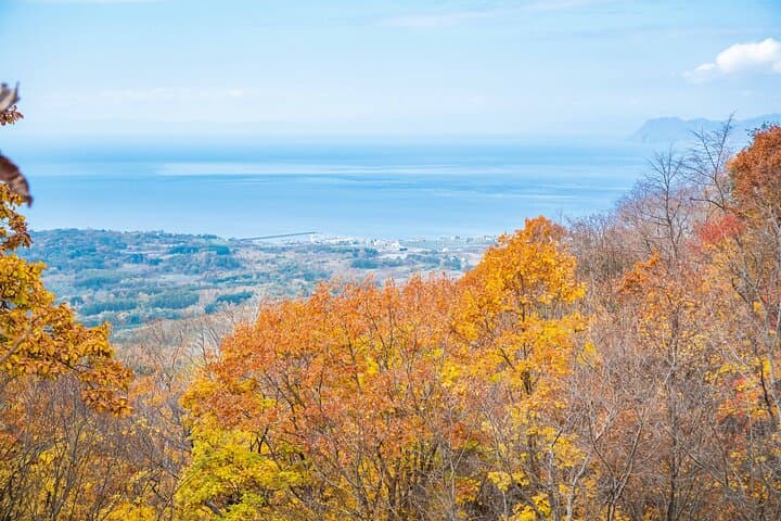 Hike Mt. Usu and visit Lake Toya Day Tour — photo 6