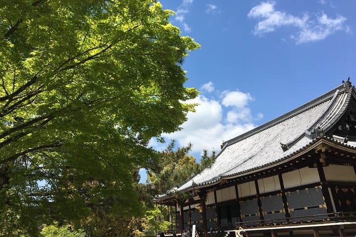 Private Sightseeing Guided Tour in Kyoto — photo 6