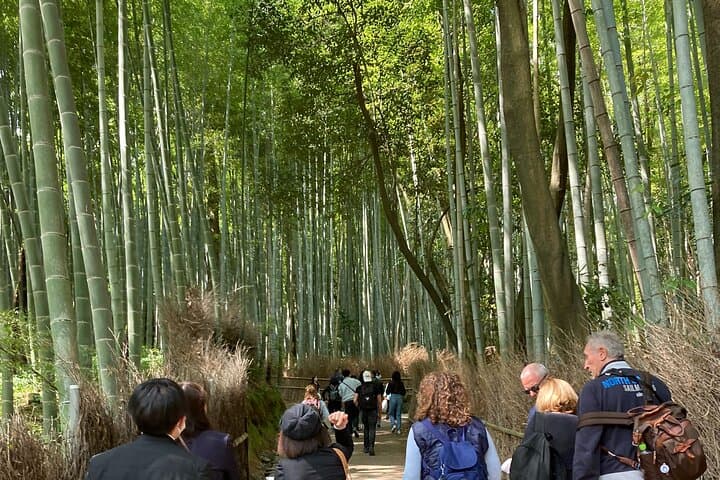 Private Sightseeing Guided Tour in Kyoto — photo 7