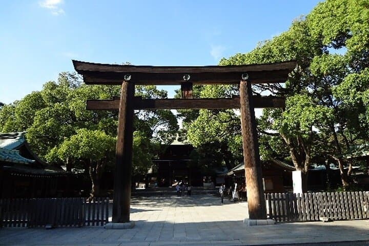 Private Tour in Tokyo with Shopping — photo 3