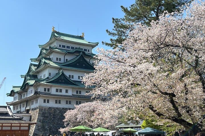 Nagoya Castle, Sword museum and a Hands-On Fan Making — photo 2