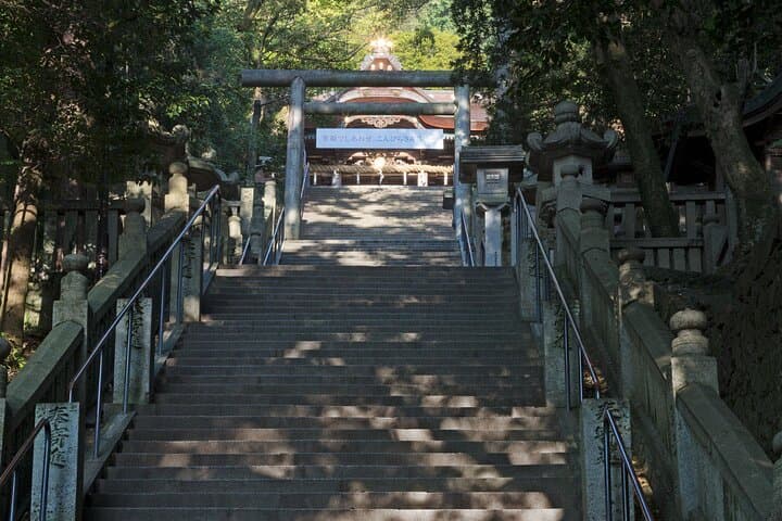 8 Day Private One Way Bus Tour to Fukuoka from Osaka via Shikoku — photo 7