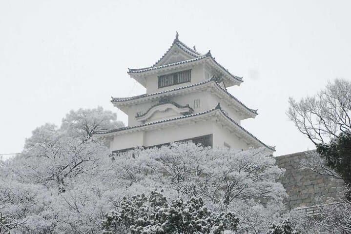 8 Day Private One Way Bus Tour to Fukuoka from Osaka via Shikoku — photo 5