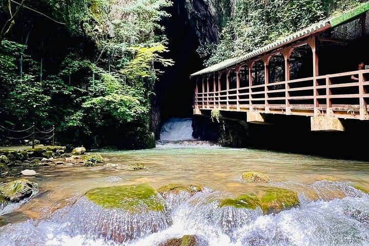 Akiyoshido Cave & Motonosumi Shrine Coastline & Spelunking Tour — photo 6