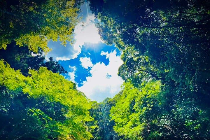 Akiyoshido Cave & Motonosumi Shrine Coastline & Spelunking Tour — photo 10