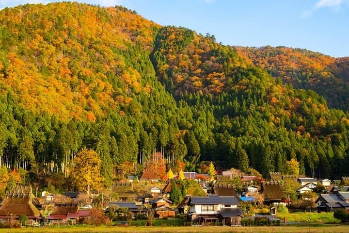 Amanohashidate Ine Funaya Miyama Village No Sato Tour from Osaka — photo 5