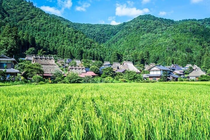 Amanohashidate Ine Funaya Miyama Village No Sato Tour from Osaka — photo 11