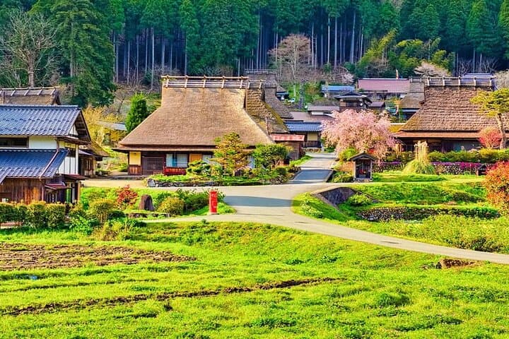 Amanohashidate Ine Funaya Miyama Village No Sato Tour from Osaka — photo 2