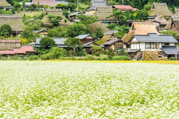 Amanohashidate Ine Funaya Miyama Village No Sato Tour from Osaka — photo 17