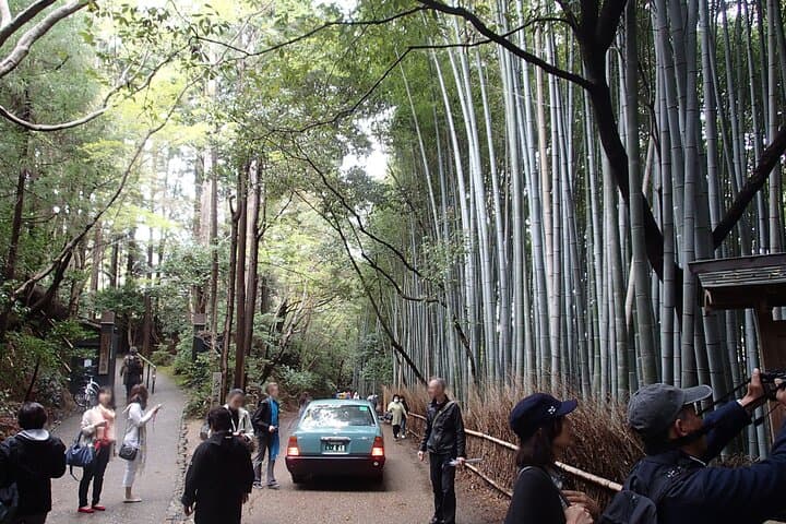 Western Kyoto Walking Tour with Local Guide — photo 4
