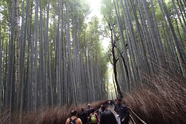 Western Kyoto Walking Tour with Local Guide — photo 5