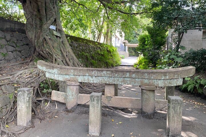 Kagoshima Highlights Private Tour, Sakurajima Volcano and more — photo 3