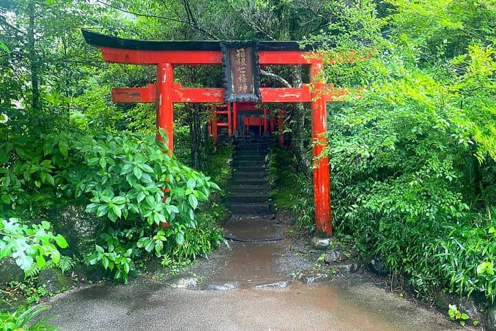 Full Day Private Tour to Mt Fuji by Luxury Vehicle — photo 12