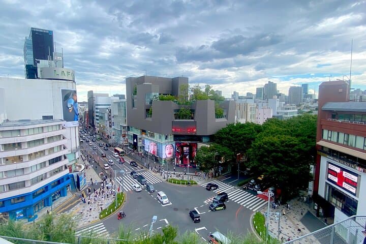 Full Day Tokyo Private Tour by Luxury Vehicle — photo 10