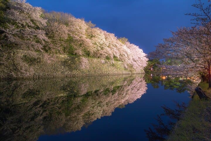 Explore the Historic Castle Town of Hikone from Kyoto — photo 4