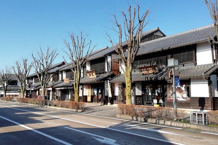 Explore the Historic Castle Town of Hikone from Kyoto — photo 5