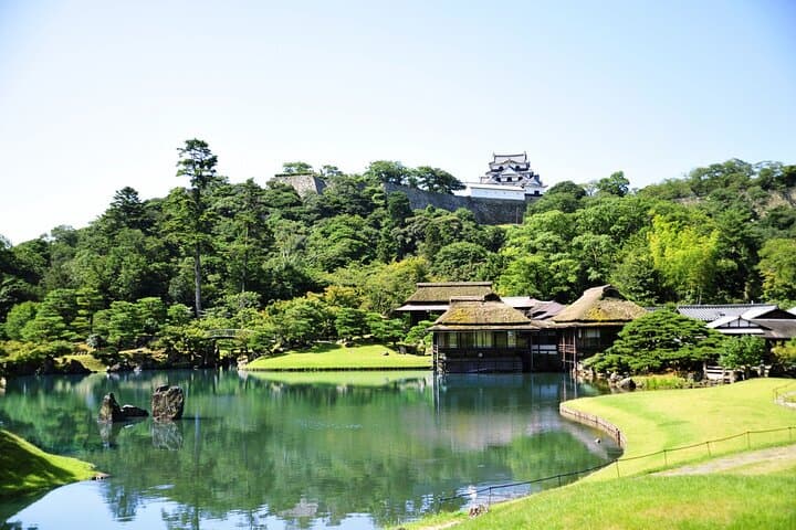 Explore the Historic Castle Town of Hikone from Kyoto — photo 8
