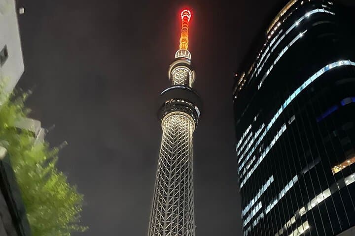 Tokyo Night Tour with English Speaking Guide — photo 4