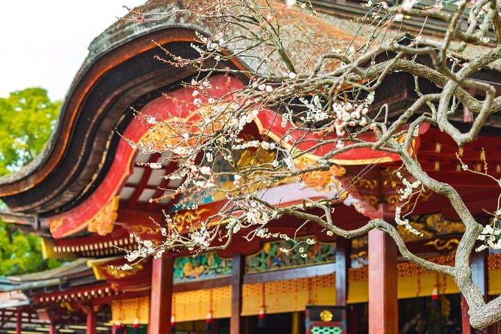 Dazaifu Bungo Mori Roundhouse Beppu Yufuin Private Tour — photo 5