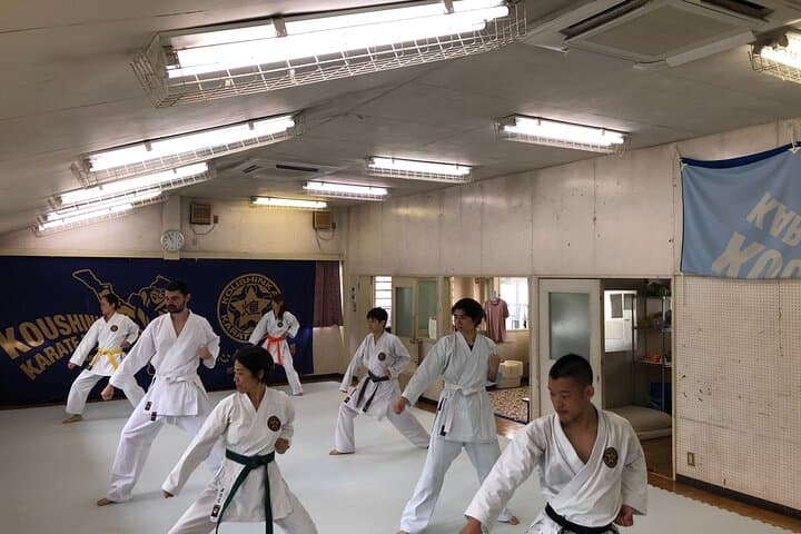 Tokyo Karate Experience (Family Friendly) with Karate Champion — photo 8