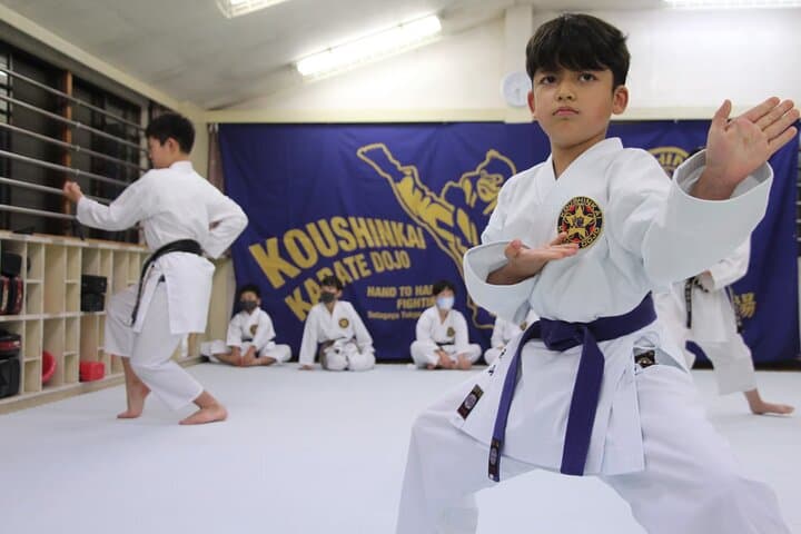 Tokyo Karate Experience (Family Friendly) with Karate Champion — photo 1
