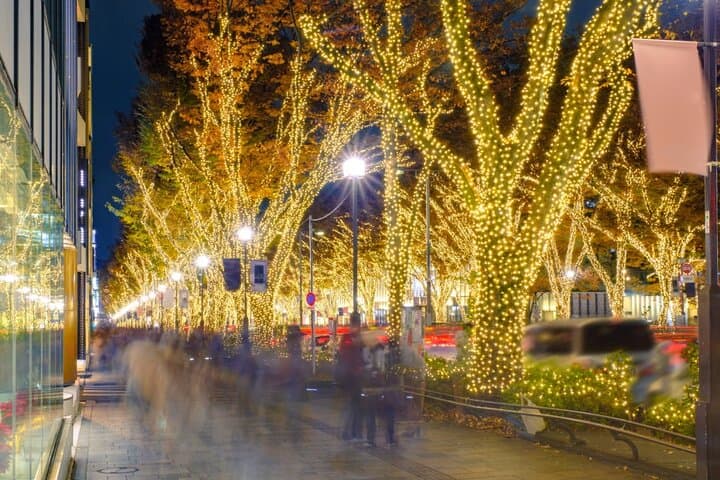 Private Tokyo Night Tour with English-Speaking Driver from Tokyo — photo 17