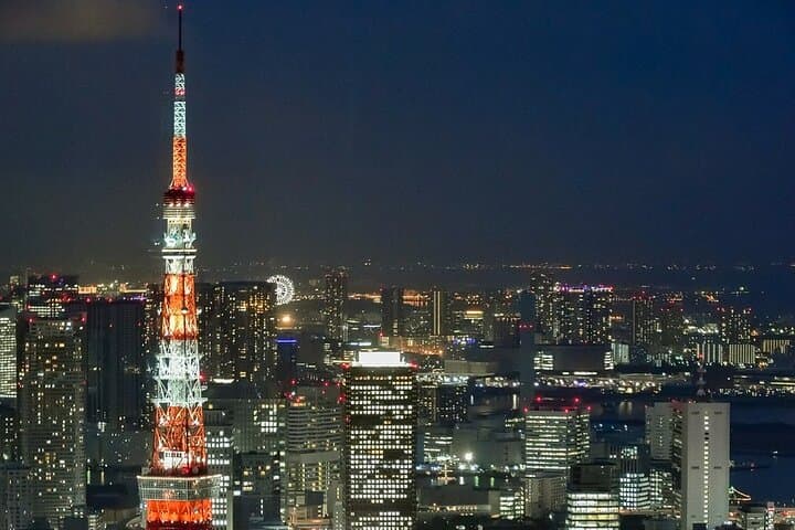 Private Tokyo Night Tour with English-Speaking Driver from Tokyo — photo 20