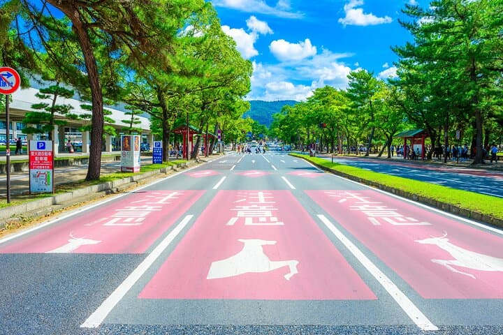 Nara Highlights Private Tour with Local driver (guide option) — photo 4