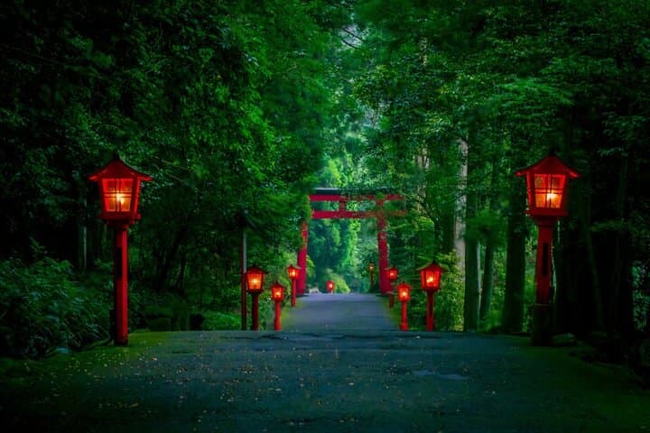 Mt Fuji or Hakone Private Day Tour — photo 4