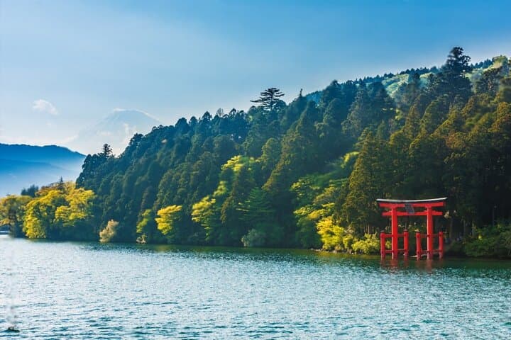 Mt Fuji or Hakone Private Day Tour — photo 2