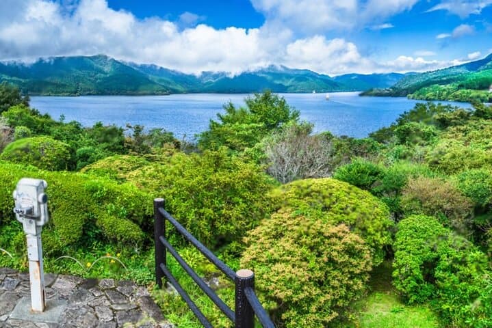 Mt Fuji or Hakone Private Day Tour — photo 12
