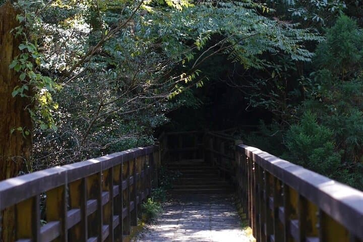 Private Tour: Full-Day Walking Tour with Professional Local Guide in Yakushima Island — photo 5