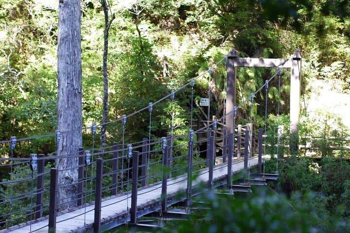 Private Tour: Full-Day Walking Tour with Professional Local Guide in Yakushima Island — photo 8