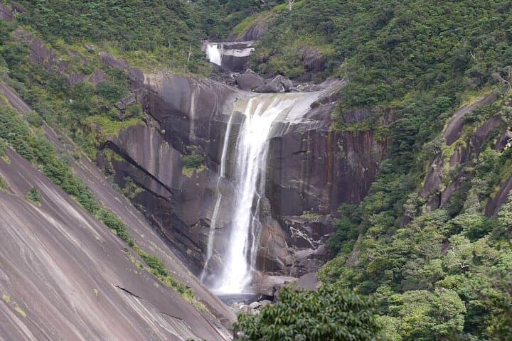 Private Tour: Full-Day Walking Tour with Professional Local Guide in Yakushima Island — photo 9