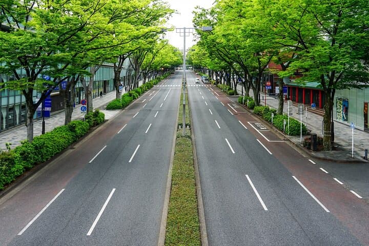 Private Tour in Tokyo with Shopping — photo 5