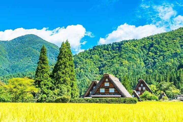 Hida Takayama & Shirakawa-go Gassho Village Day Tour from Nagoya — photo 4