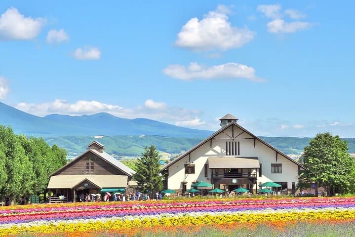 Shikisai-no-Oka Fairy Terrace Tour, optional lunch from Sapporo — photo 11