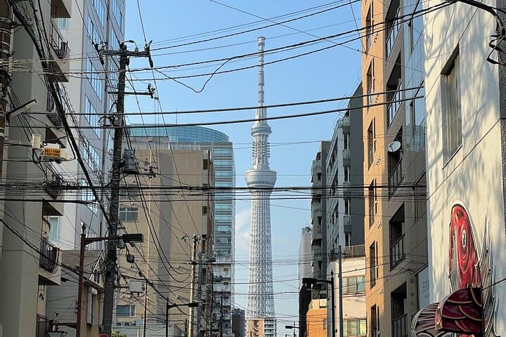 Private Tour in Tokyo — photo 1