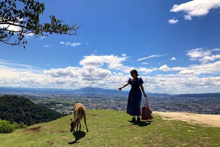 Perfect Nara Park Half-Day Bus Tour with English Speaking Guide — photo 11