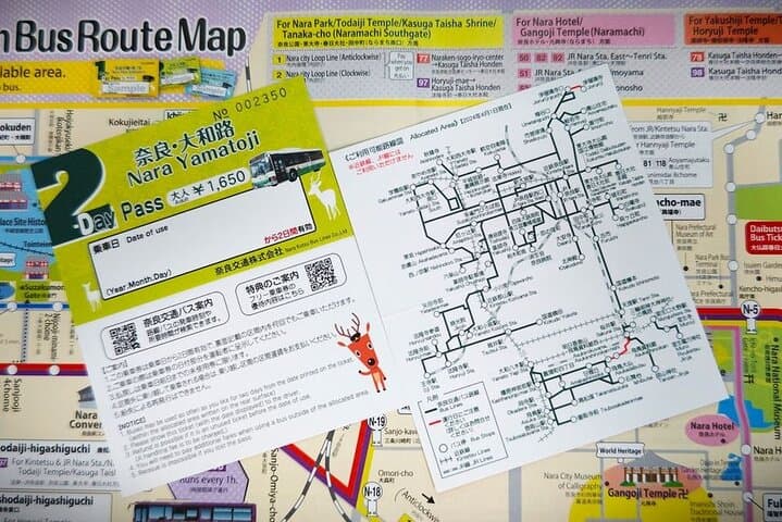 Perfect Nara Park Half-Day Bus Tour with English Speaking Guide — photo 13