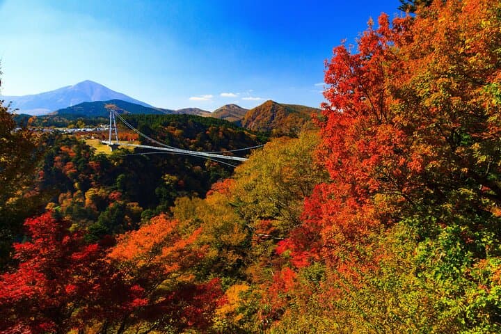 PRIVATE Day MiniBUS Tour to KOKONOE & YUFUIN, BEPPU from Fukuoka — photo 3