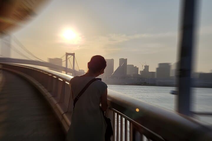Tokyo Layover 5 Hours Private Tour by Car — photo 12