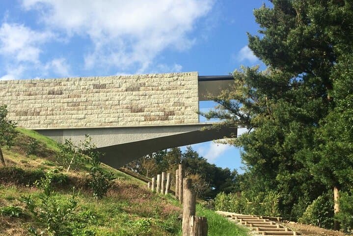 Full-Day Enoura Observatory and Hakone Hot Spring Private Tour — photo 4