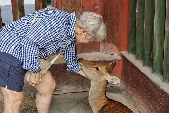 Nara World Heritage PRIVATE TOUR — photo 7