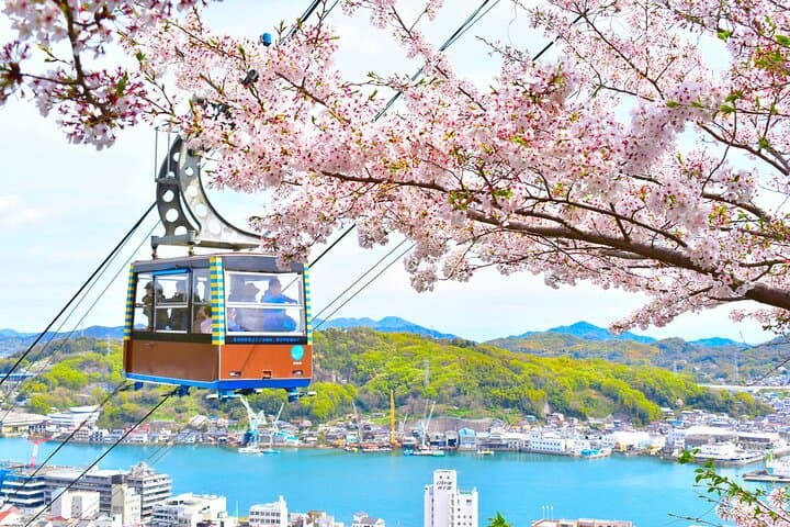 3 Day Trip to Fukuoka From Osaka via SANYO with Minibus7m — photo 7