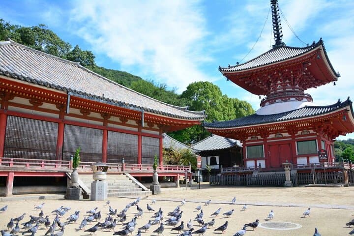 3 Day Trip to Fukuoka From Osaka via SANYO with Minibus7m — photo 6