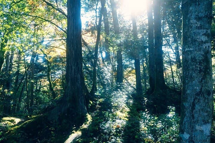 Fuji Photo Tour