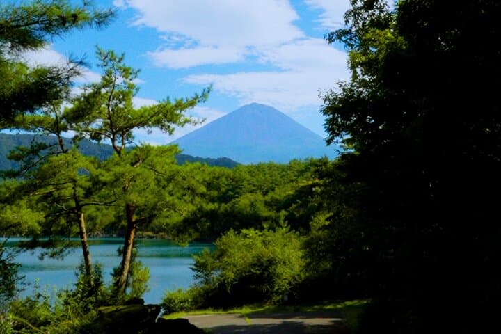 Fuji Photo Tour — photo 4