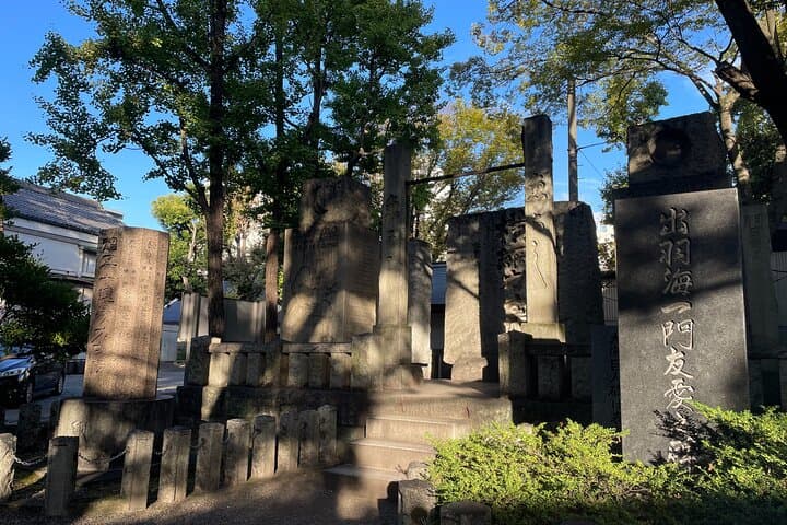 Tokyo: Taste the downtown echo and enjoy Japanese culture — photo 9